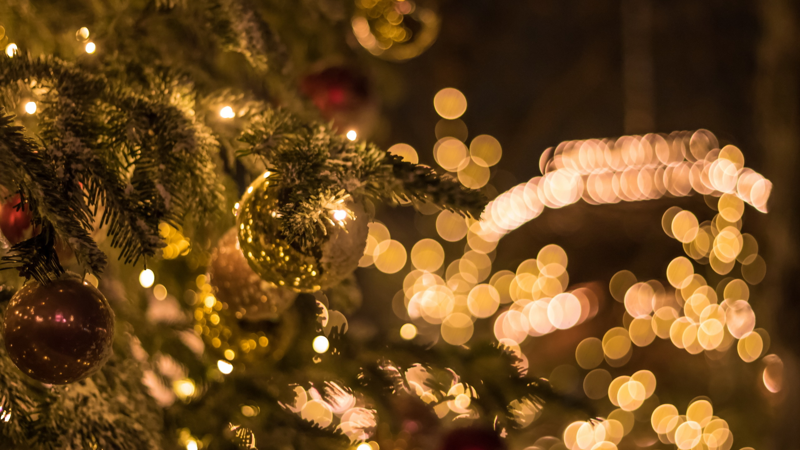 Weihnachten, Weihnachtsbeleuchtung, Christmas Ornament, Baum, Weihnachtsdekoration. Wallpaper in 2560x1440 Resolution