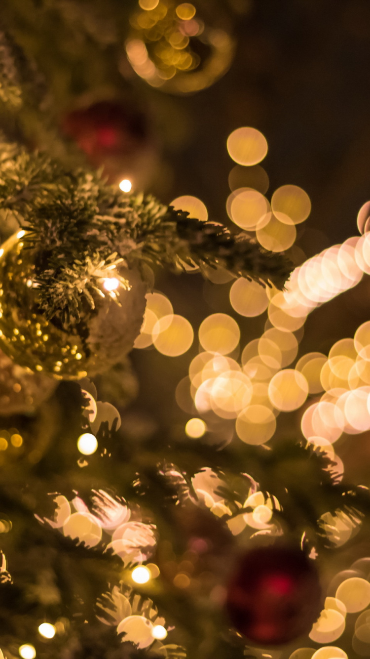 Weihnachten, Weihnachtsbeleuchtung, Christmas Ornament, Baum, Weihnachtsdekoration. Wallpaper in 750x1334 Resolution