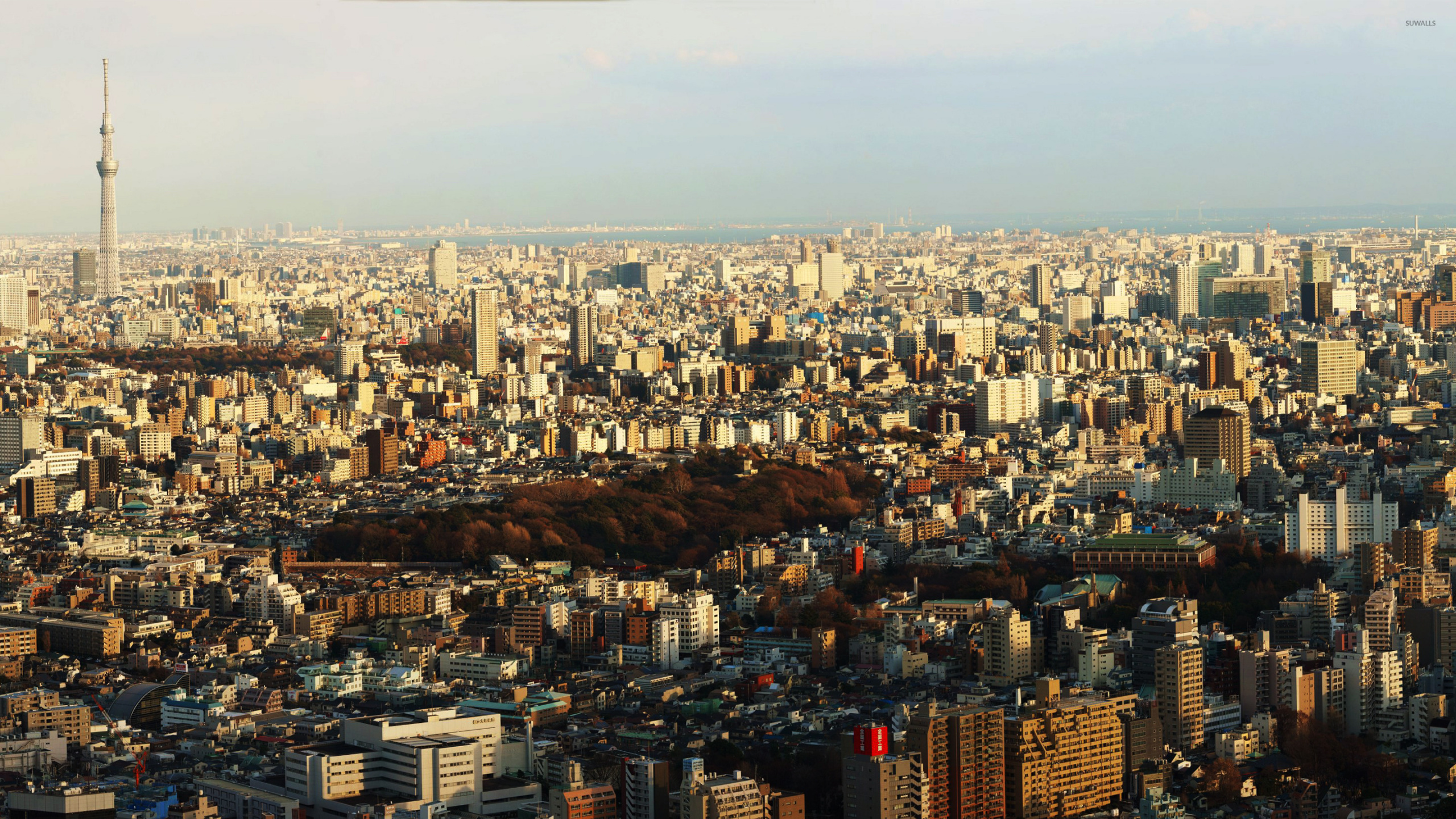 Aerial View of City Buildings During Daytime. Wallpaper in 2560x1440 Resolution