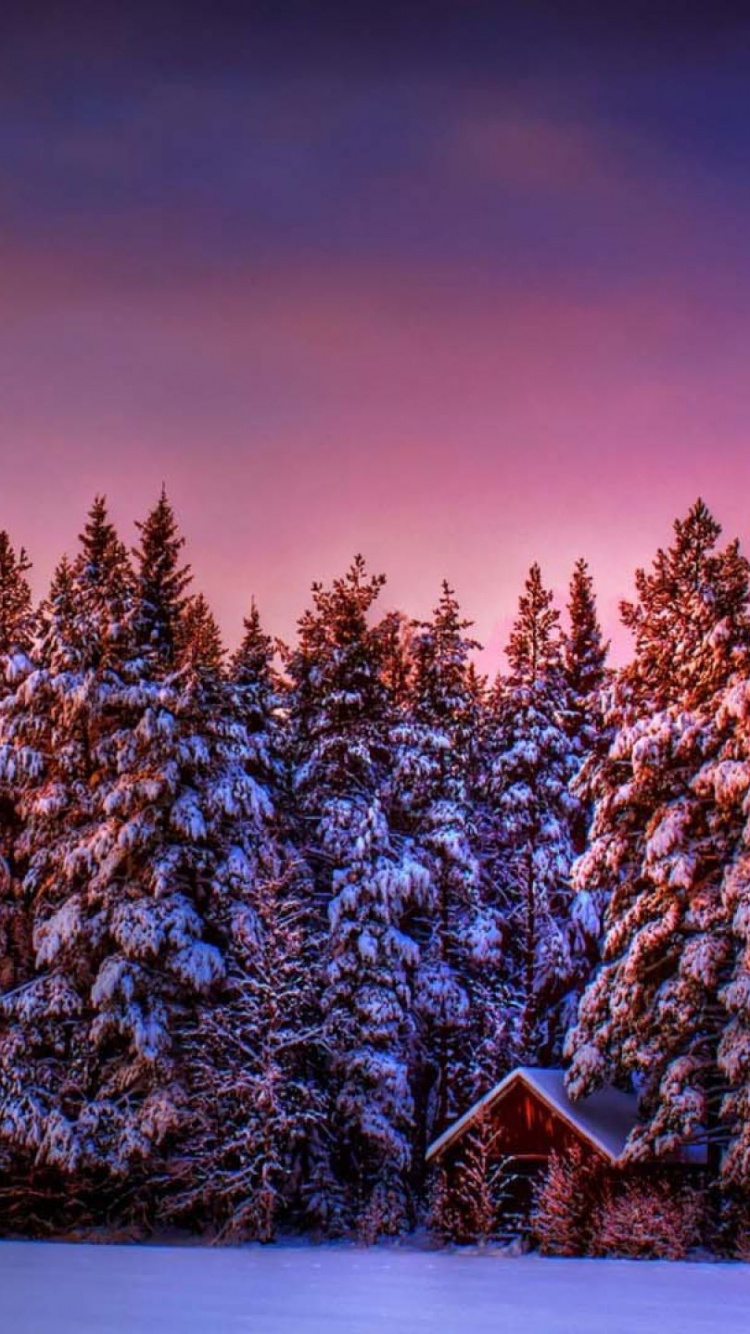 Maison en Bois Marron Entourée D'arbres Pendant la Journée. Wallpaper in 750x1334 Resolution