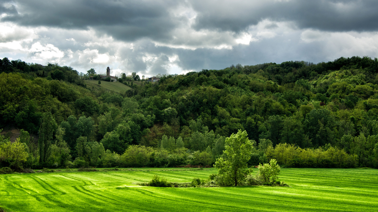 Campo de Hierba Verde Bajo el Cielo Nublado Durante el Día. Wallpaper in 1280x720 Resolution