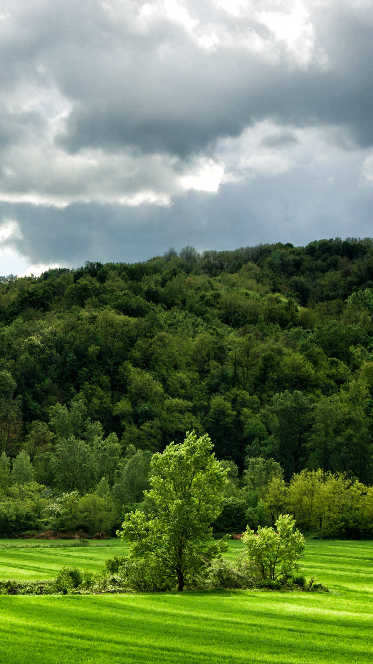 Green Grass Field Under Cloudy Sky During Daytime. Wallpaper in 750x1334 Resolution