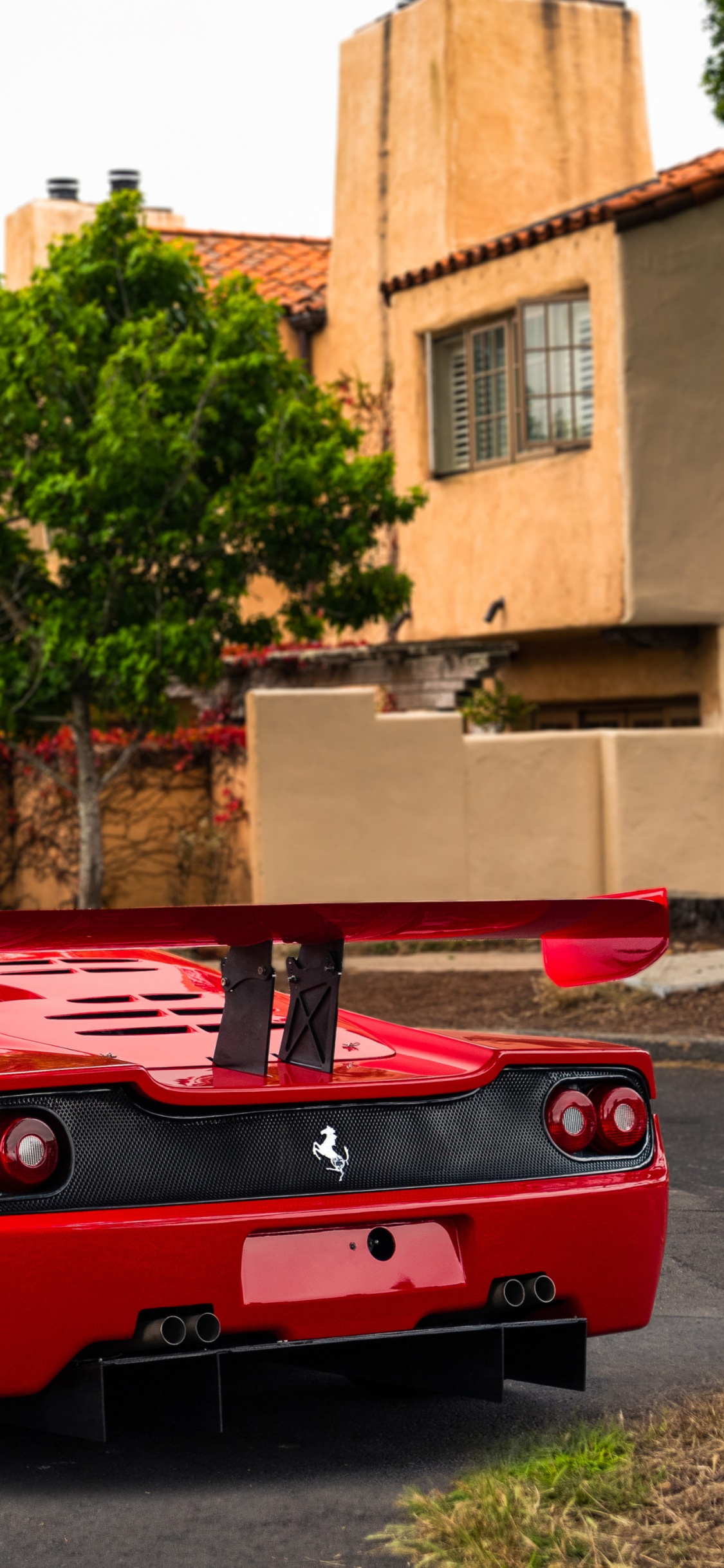 Ferrari F50, Car, Enzo Ferrari, Ferrari, Ferrari F40. Wallpaper in 1125x2436 Resolution