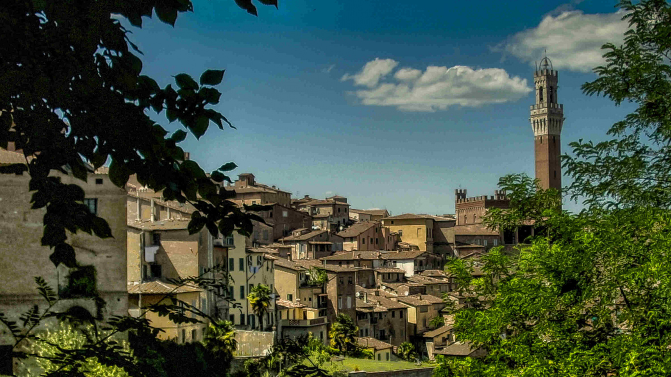 Green Trees Near Brown Concrete Building Under Blue Sky During Daytime. Wallpaper in 1366x768 Resolution