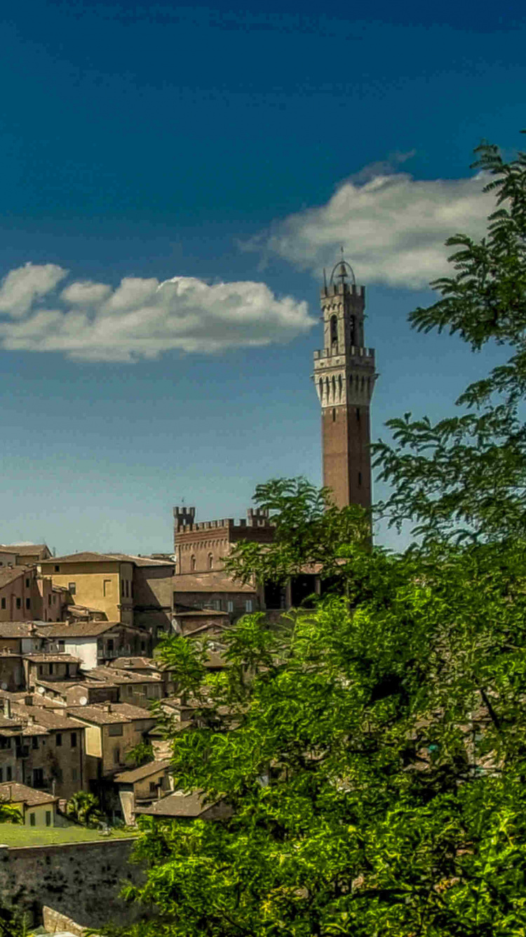 Green Trees Near Brown Concrete Building Under Blue Sky During Daytime. Wallpaper in 750x1334 Resolution