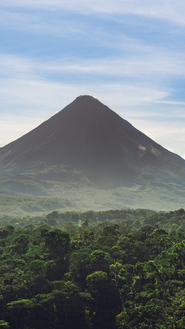 Árboles Verdes Cerca de la Montaña Bajo Nubes Blancas y Cielo Azul Durante el Día. Wallpaper in 750x1334 Resolution