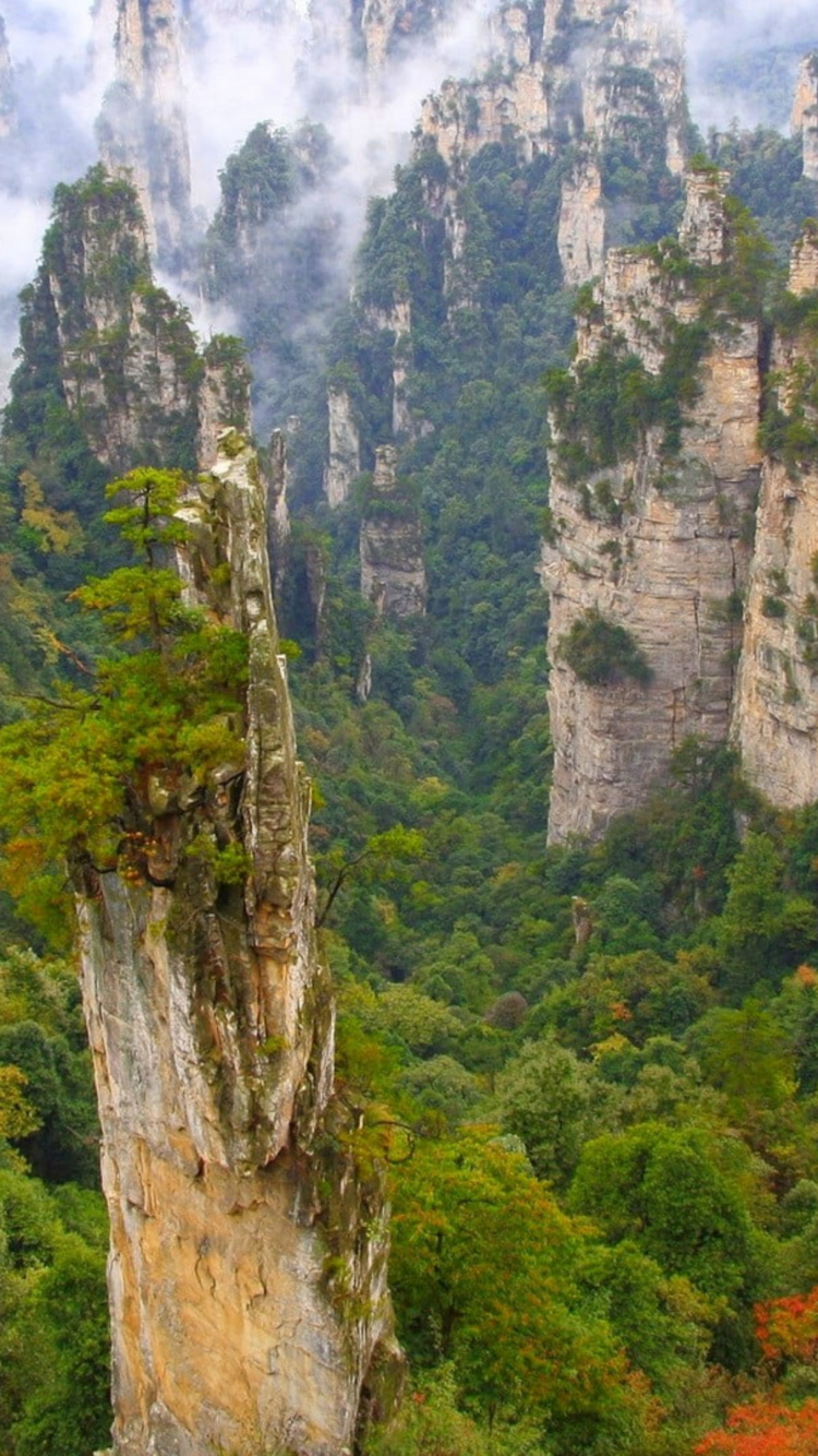 Wulingyuan Scenic Area, Tianmen Mountain, Mount Rainier National Park, National Park, Park. Wallpaper in 750x1334 Resolution