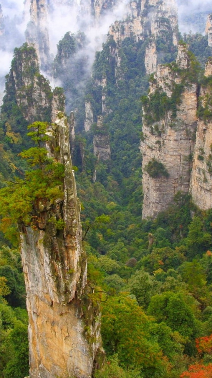 Wulingyuan Scenic Area, Tianmen Mountain, Mount Rainier National Park, Nationalpark, Park. Wallpaper in 720x1280 Resolution