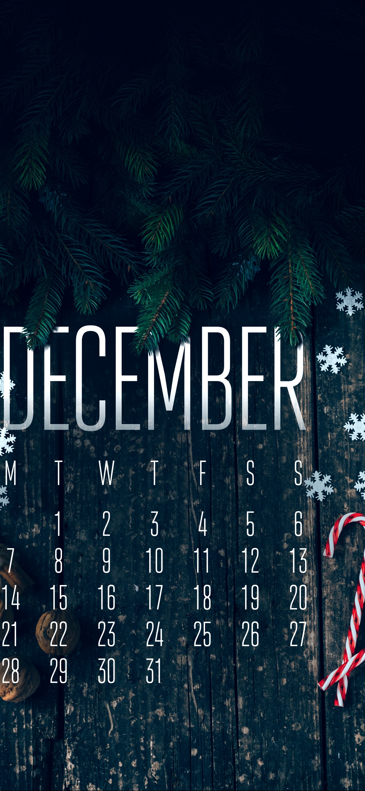 Cartel, Asus, Diseño Gráfico, Planta Terrestre, Gráficos. Wallpaper in 1242x2688 Resolution