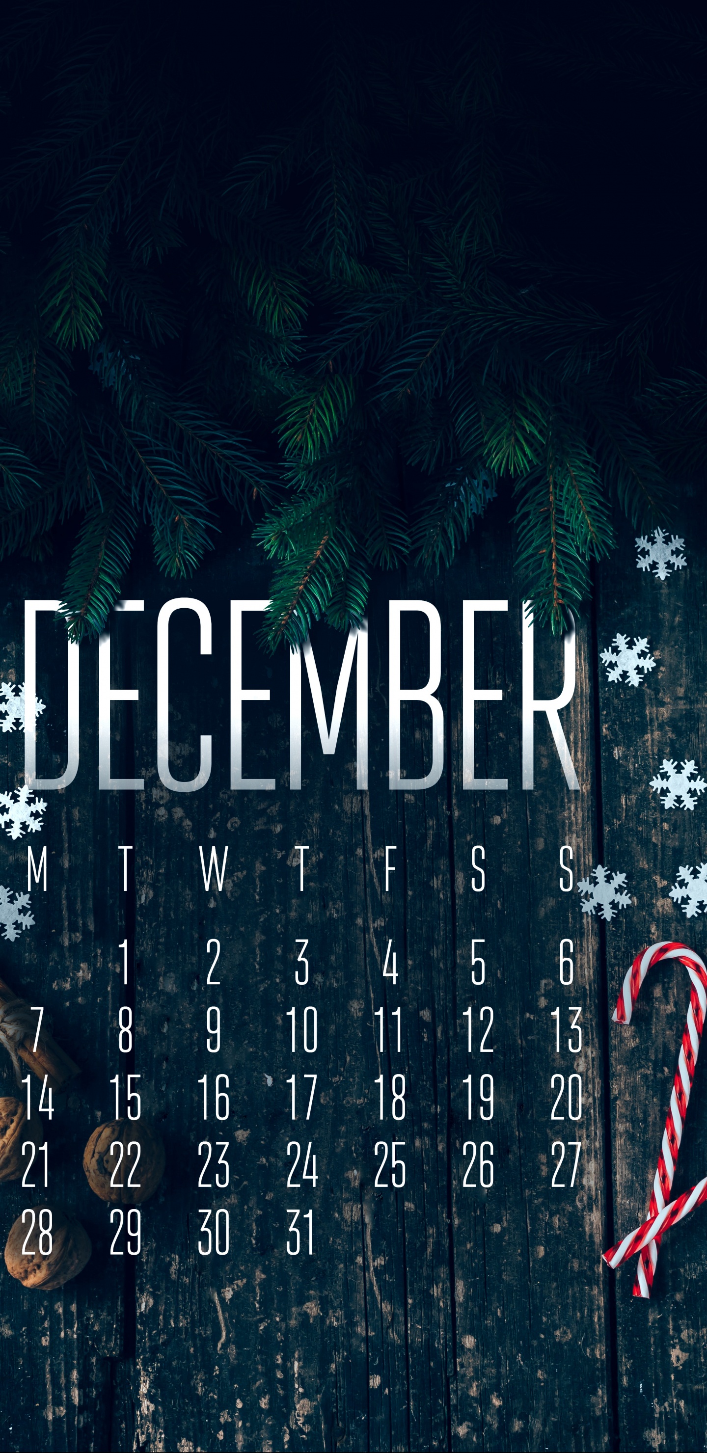 Poster, Asus, Grafik-design, Terrestrische Pflanzen, Gras. Wallpaper in 1440x2960 Resolution