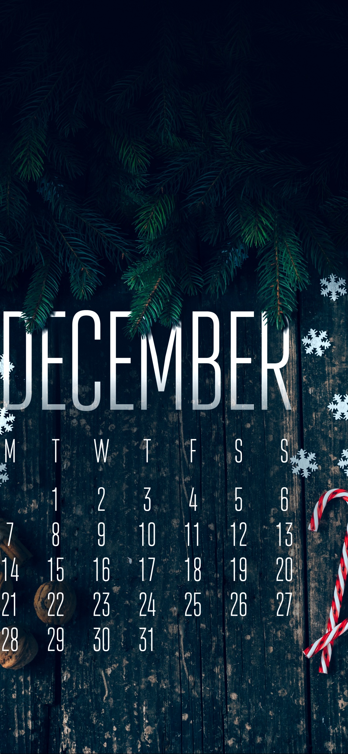 Poster, Asus, Graphic Design, Plant, World. Wallpaper in 1125x2436 Resolution