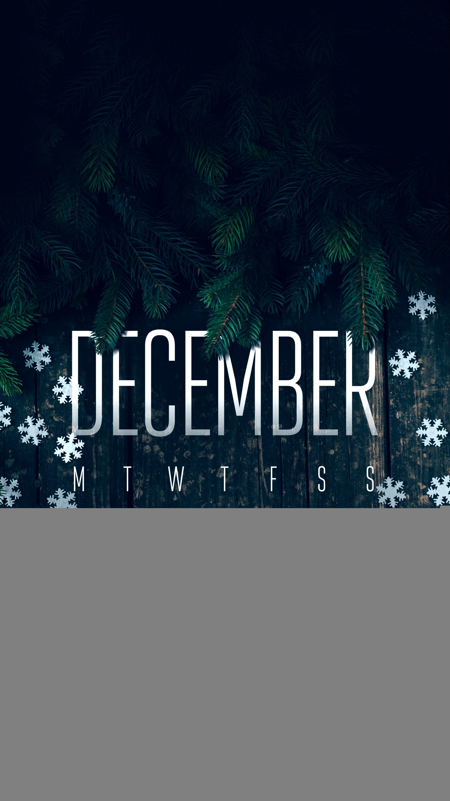 Poster, Asus, Graphic Design, Plant, World. Wallpaper in 1440x2560 Resolution