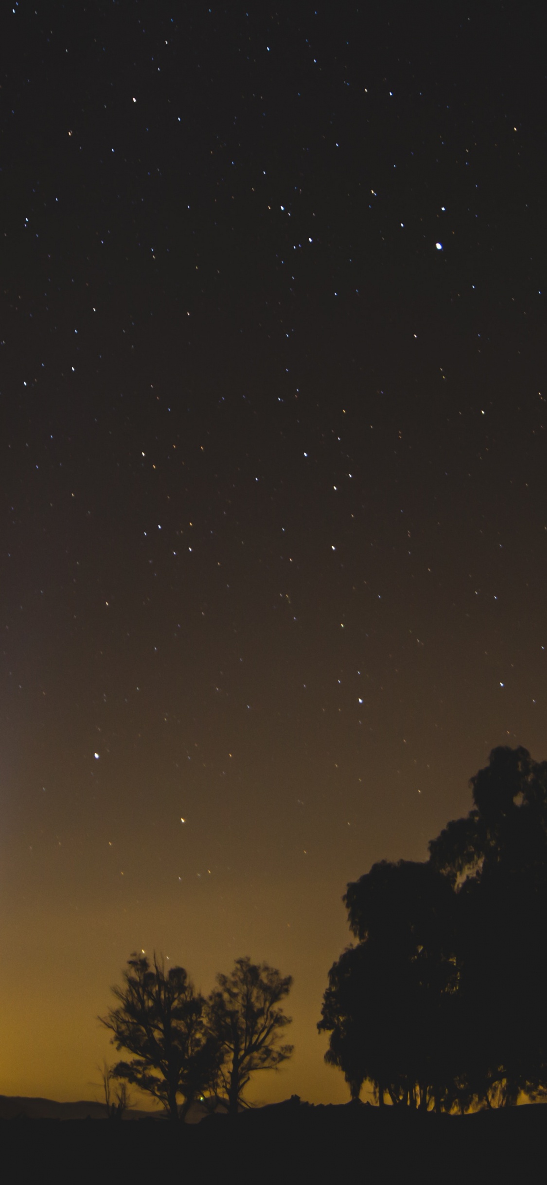 Silueta de Árboles Bajo la Noche Estrellada. Wallpaper in 1125x2436 Resolution