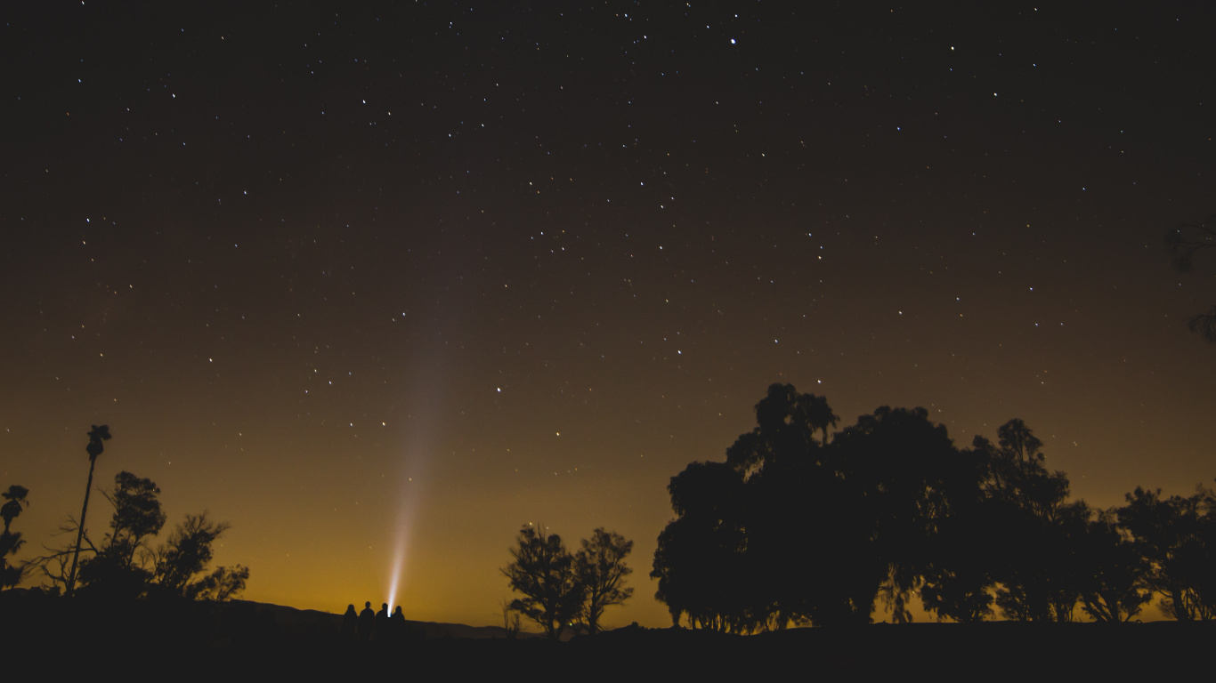 Silueta de Árboles Bajo la Noche Estrellada. Wallpaper in 1366x768 Resolution