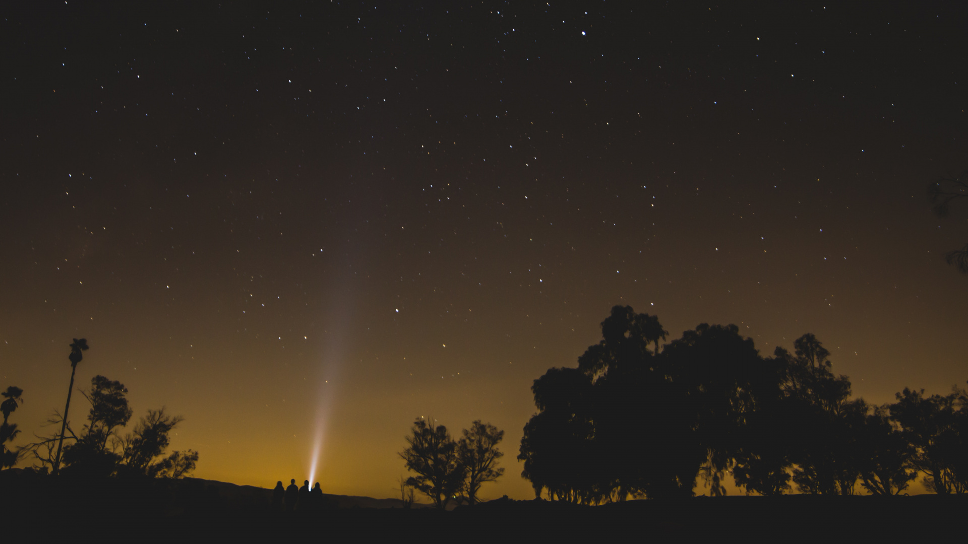 Silueta de Árboles Bajo la Noche Estrellada. Wallpaper in 1920x1080 Resolution