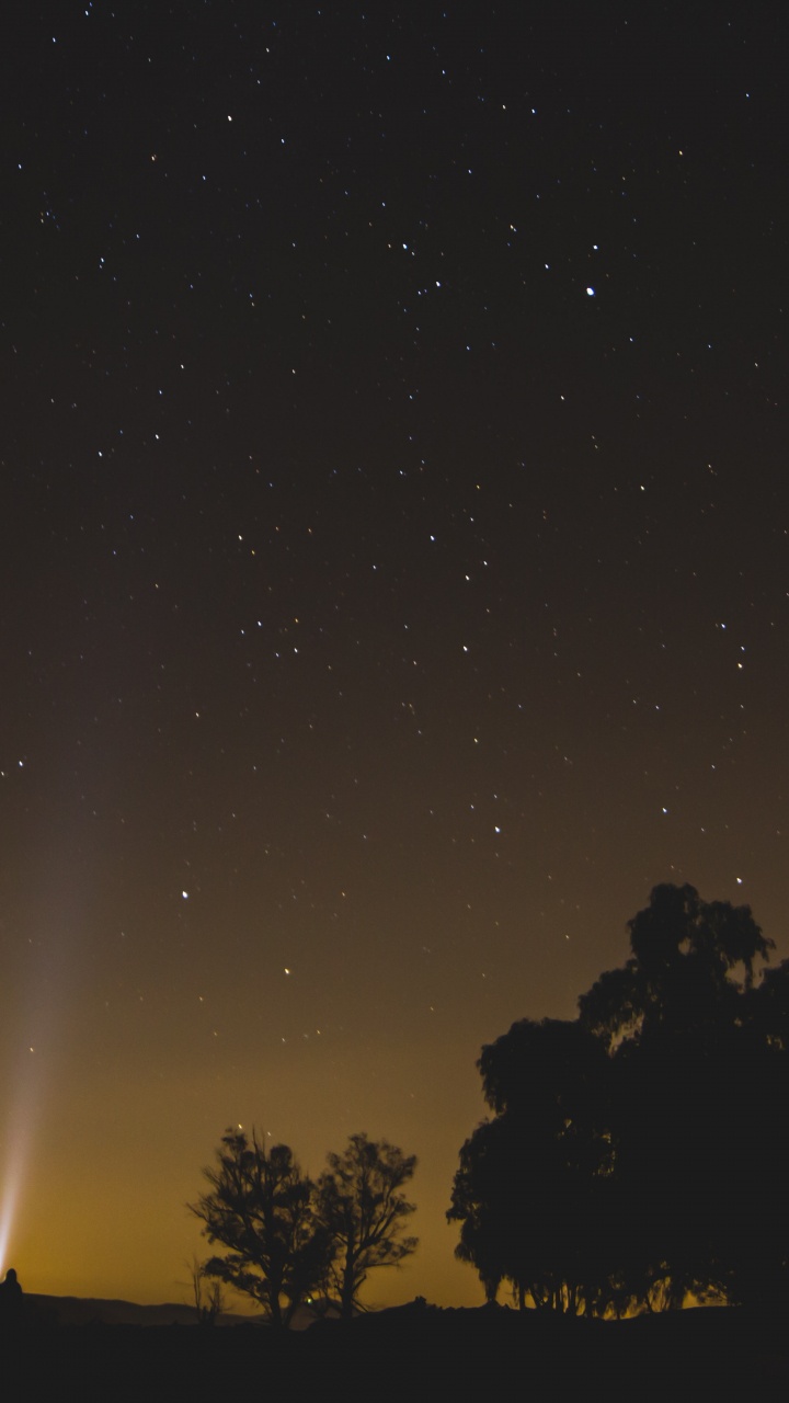 Silhouette of Trees Under Starry Night. Wallpaper in 720x1280 Resolution