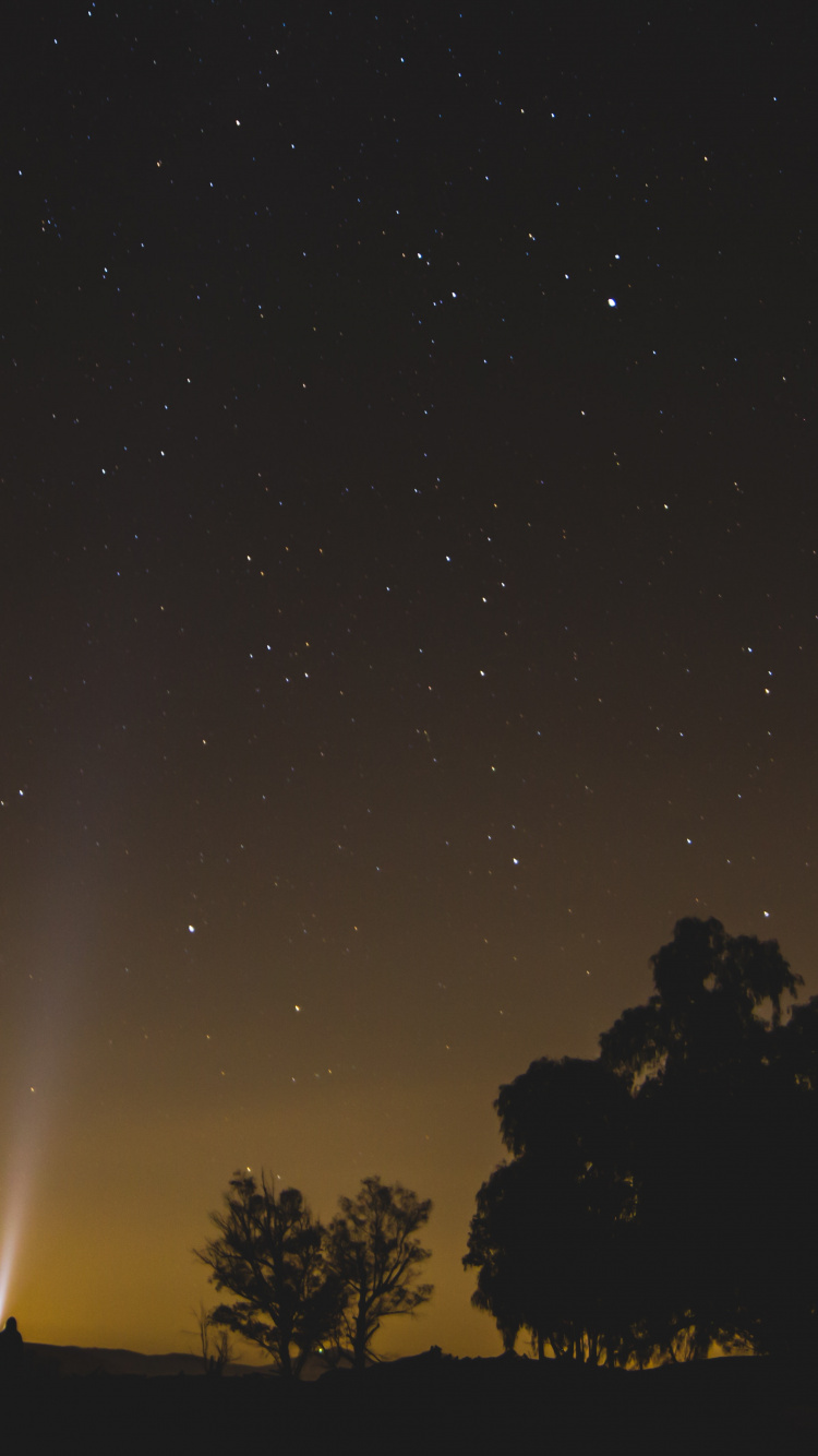 Silhouette of Trees Under Starry Night. Wallpaper in 750x1334 Resolution