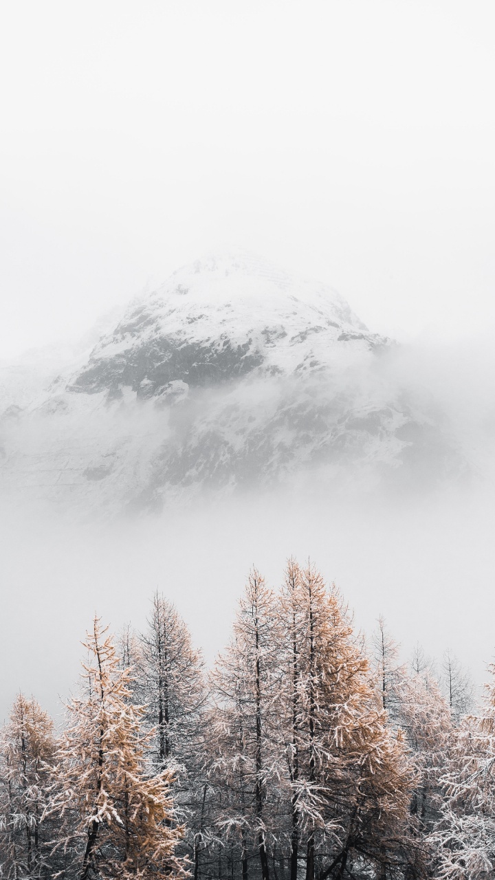 Schnee, Baum, Winter, Cloud, Einfrieren. Wallpaper in 720x1280 Resolution