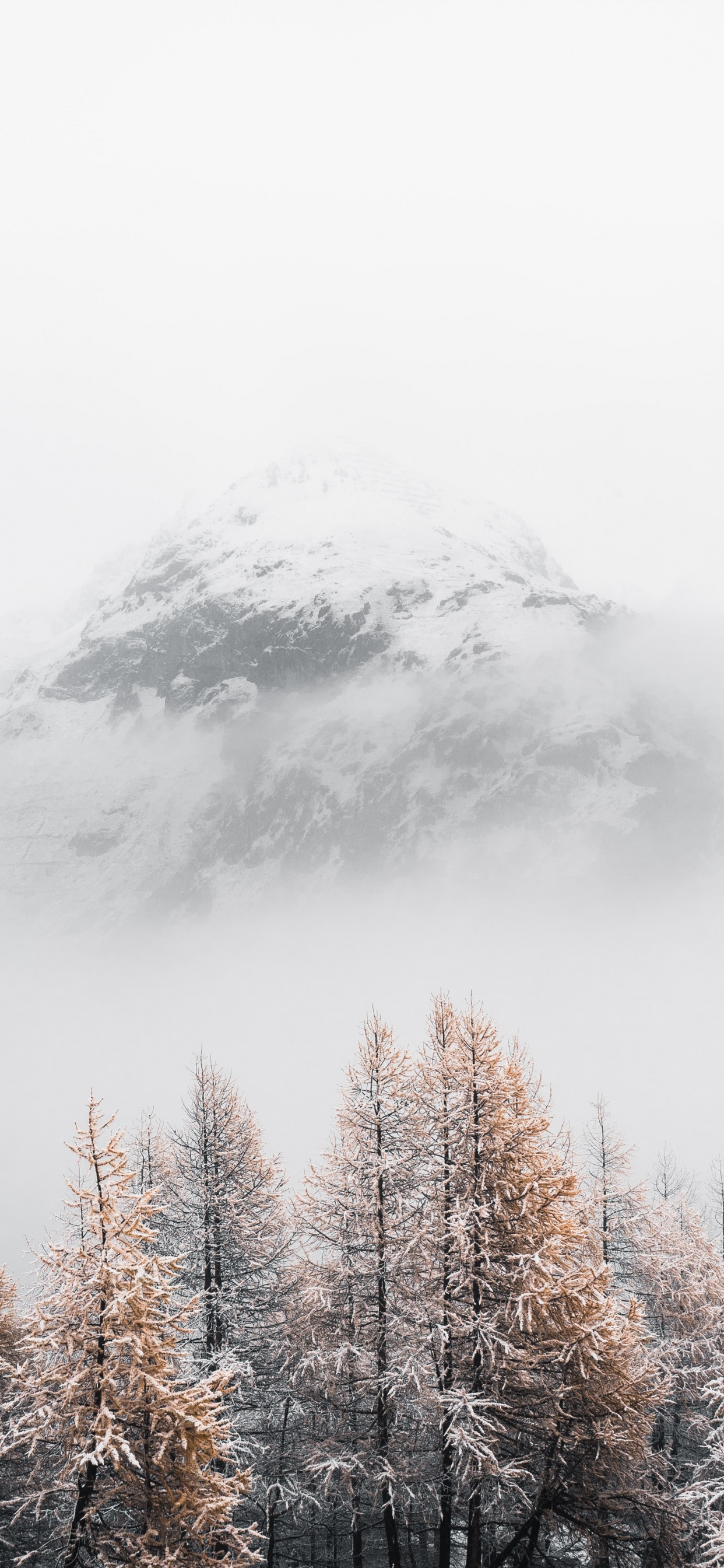 Neige, Hiver, Congélation, Paysage Naturel, Brouillard. Wallpaper in 1242x2688 Resolution