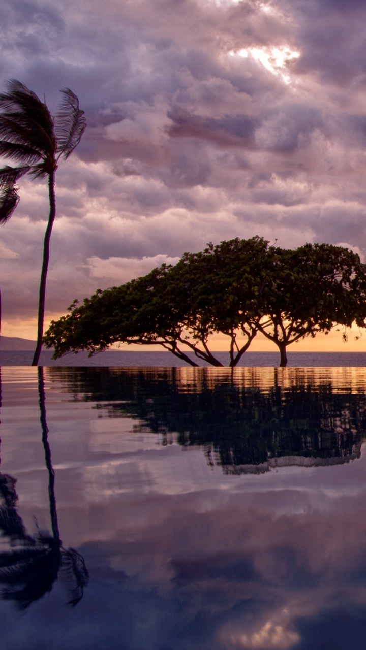 Green Trees Near Body of Water During Sunset. Wallpaper in 720x1280 Resolution