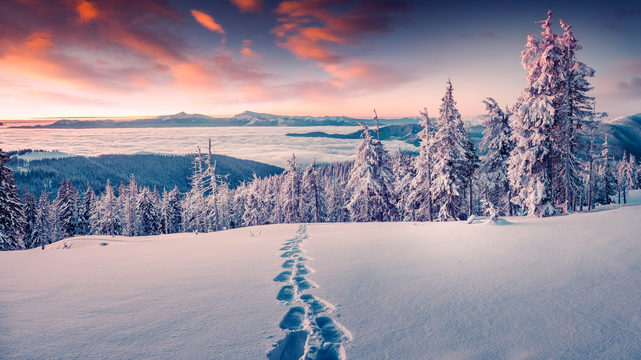 Schneebedeckte Bäume Und Berge Tagsüber. Wallpaper in 1280x720 Resolution