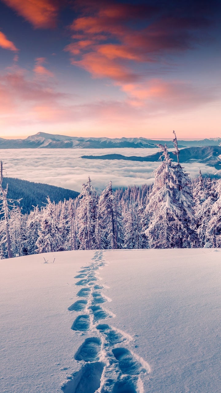 Snow Covered Trees and Mountains During Daytime. Wallpaper in 720x1280 Resolution