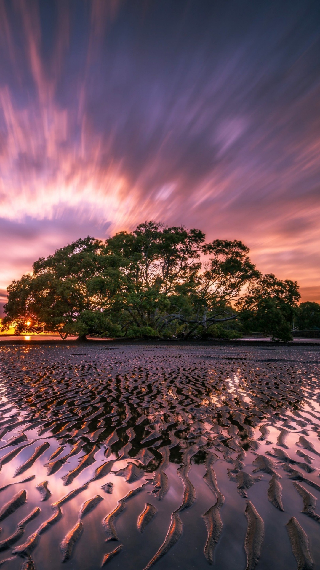 Green Trees on Gray Sand Near Body of Water During Sunset. Wallpaper in 1080x1920 Resolution