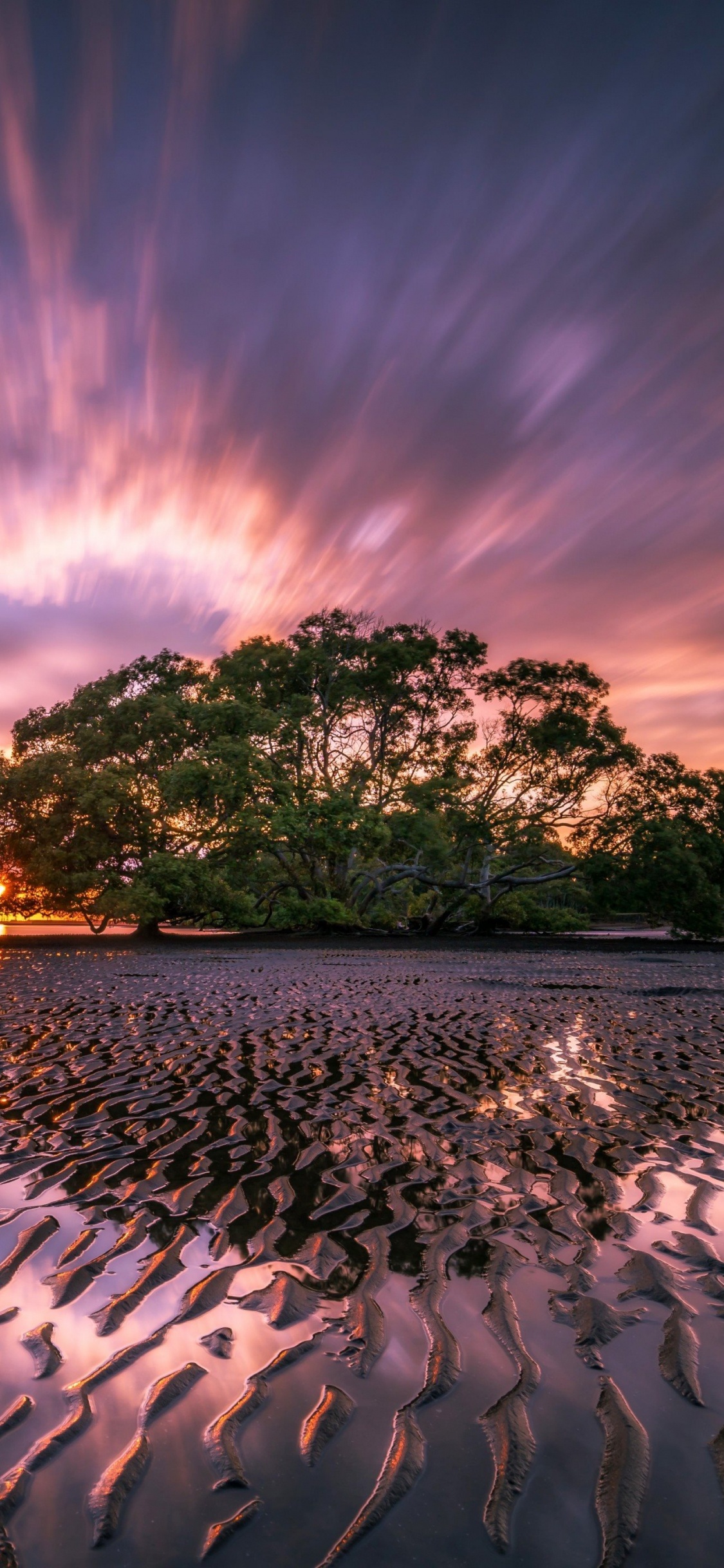 Green Trees on Gray Sand Near Body of Water During Sunset. Wallpaper in 1125x2436 Resolution