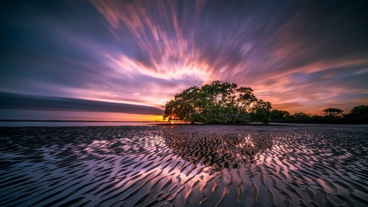 Green Trees on Gray Sand Near Body of Water During Sunset. Wallpaper in 1280x720 Resolution