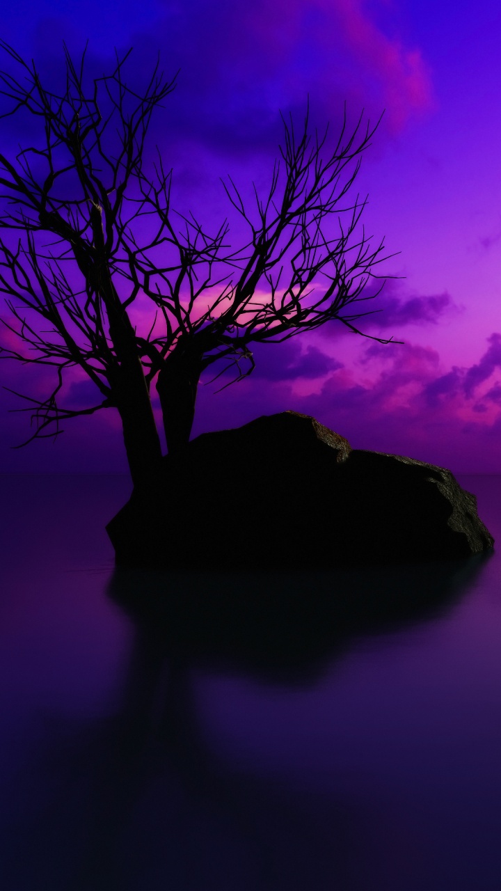 Sonnenuntergang, Natur, Naturlandschaft, Veilchen, Purpur. Wallpaper in 720x1280 Resolution