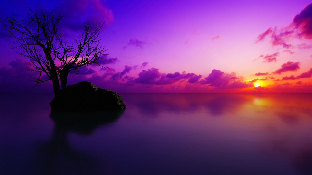 日落, 性质, 自然景观, 紫罗兰色, 紫色的 壁纸 1280x720 允许