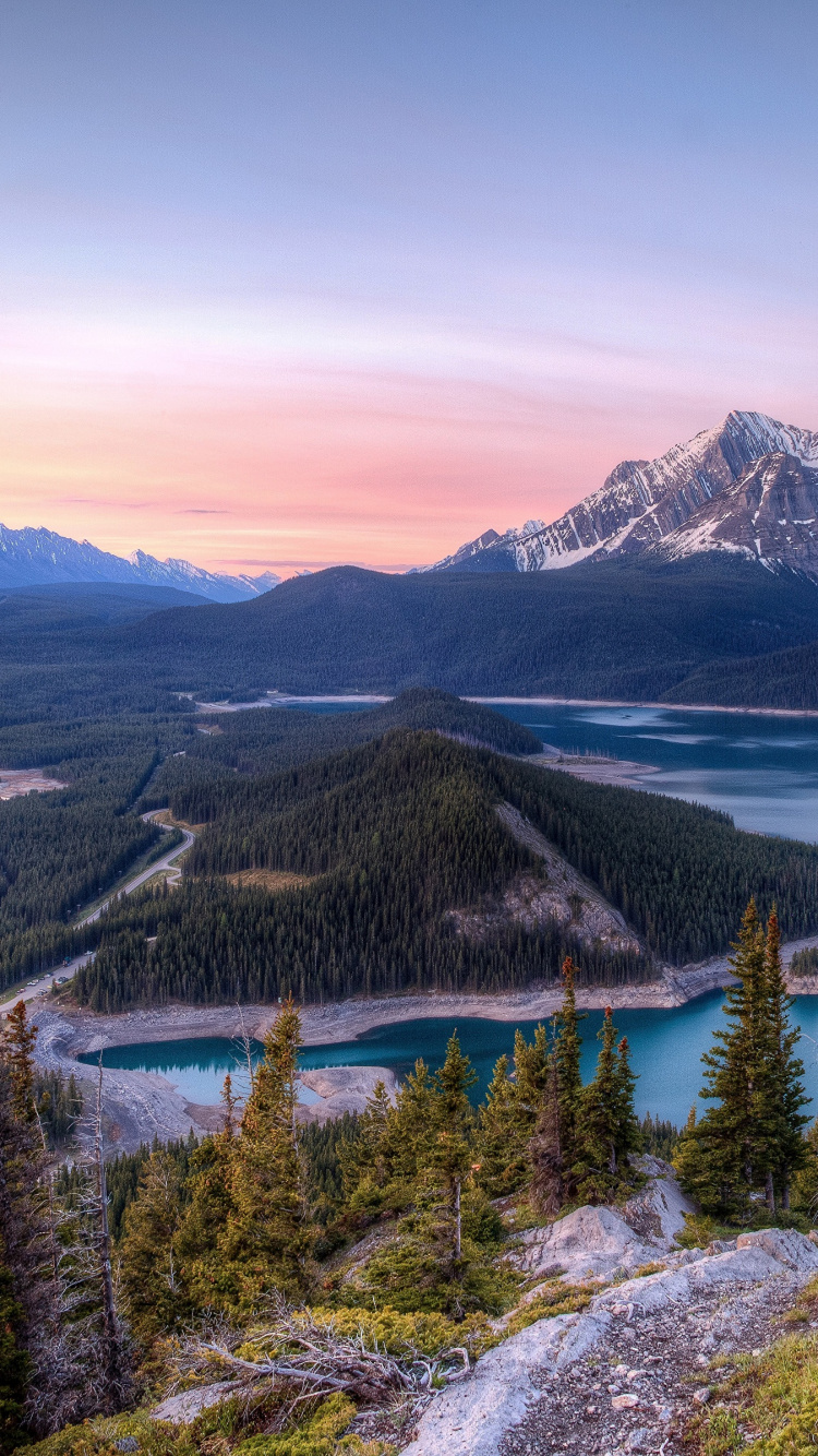 Green Pine Trees Near Lake and Mountains During Daytime. Wallpaper in 750x1334 Resolution