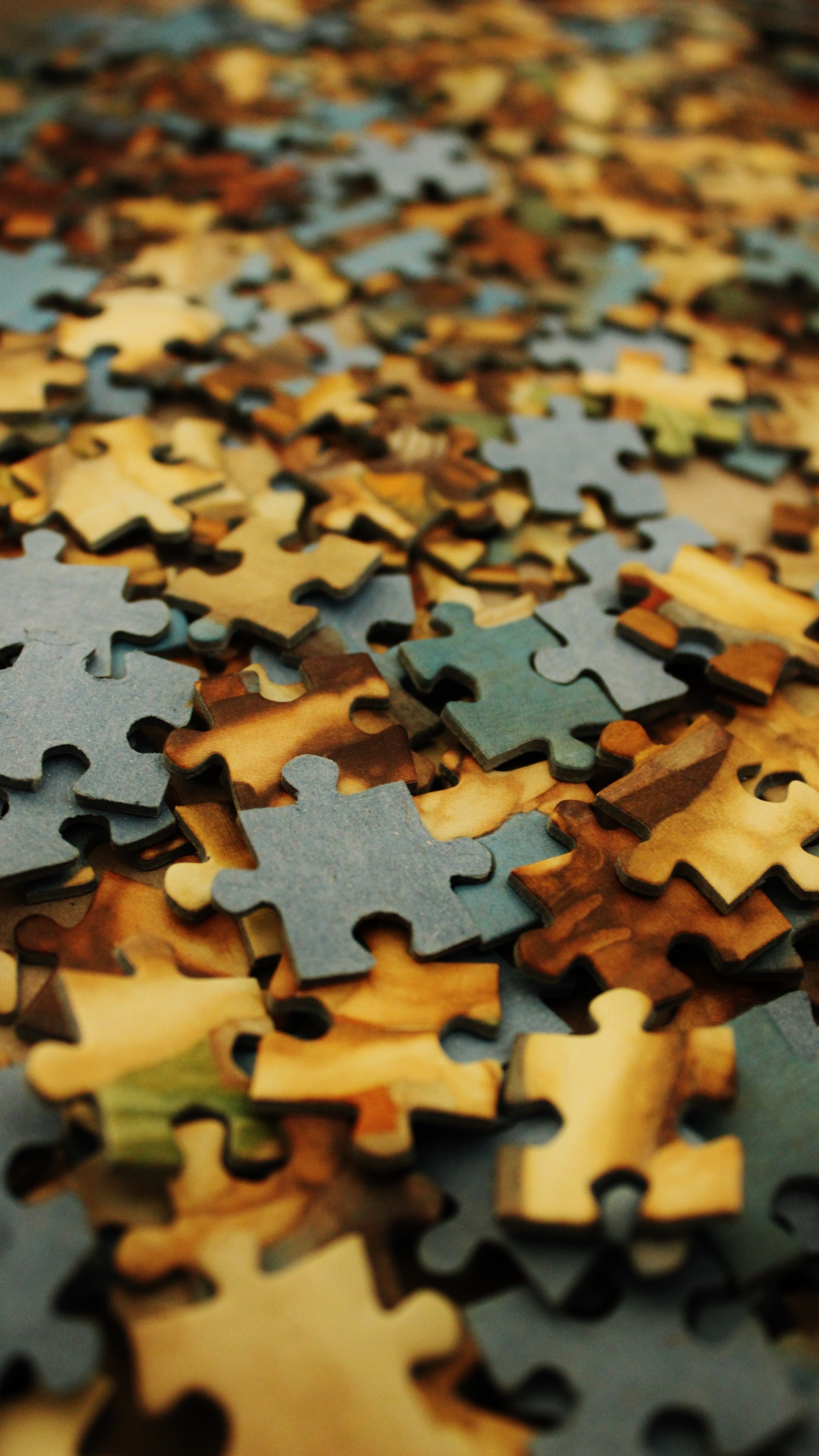 Rompecabezas Marrón y Negro. Wallpaper in 1440x2560 Resolution