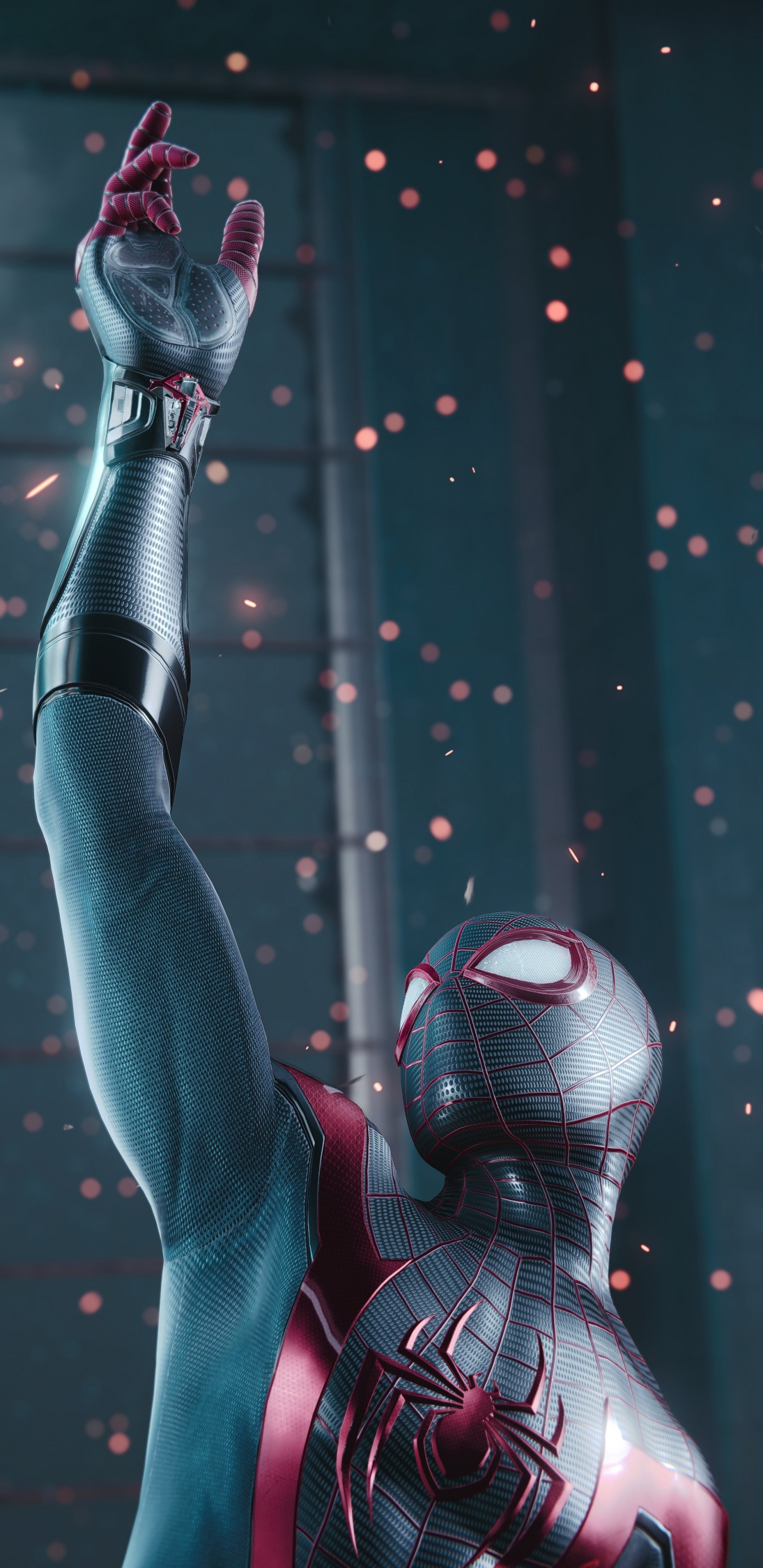 Muscle, Squelette Humain, Biologie Humaine, Sciences, Biologie. Wallpaper in 1440x2960 Resolution