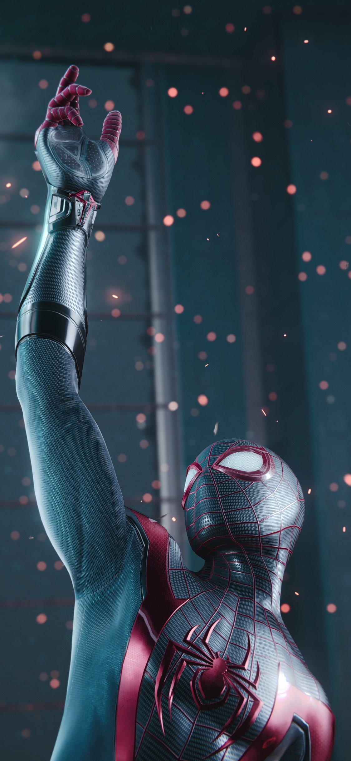 Músculos, Esqueleto Humano, Biología Humana, Ciencia, Biología. Wallpaper in 1125x2436 Resolution