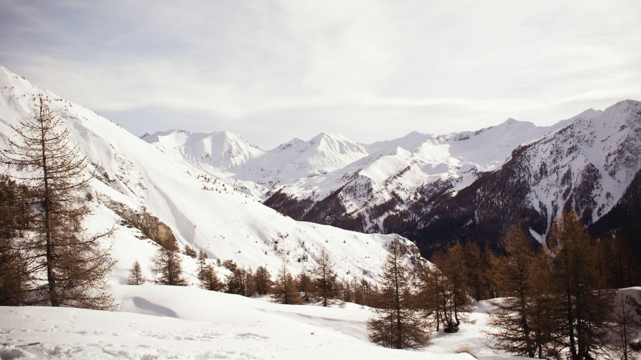 Cloud, Mountain, Snow, Slope, Plant. Wallpaper in 1280x720 Resolution