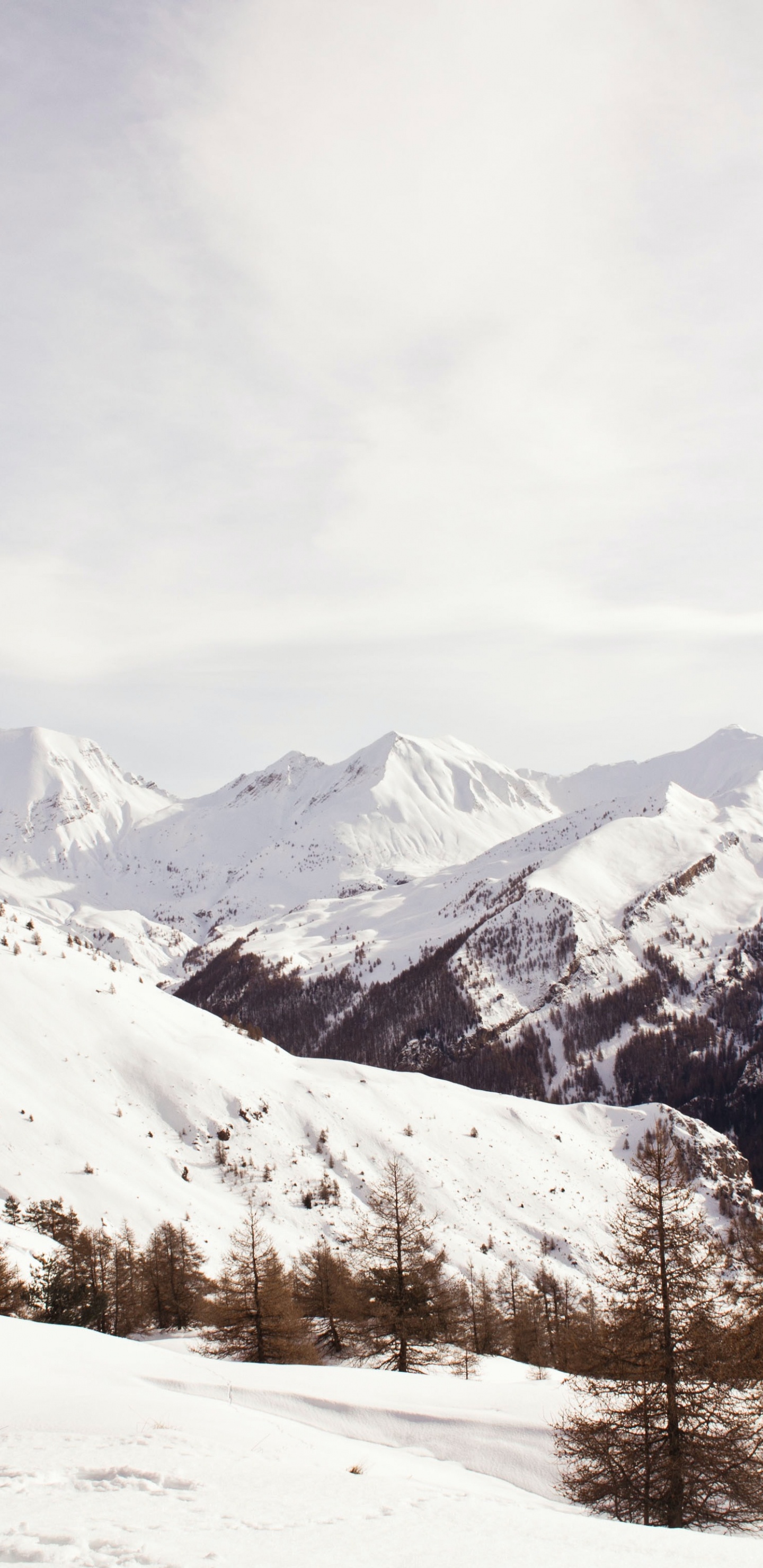 Montaña, Nieve, Pendiente, Paisaje Natural, Highland. Wallpaper in 1440x2960 Resolution