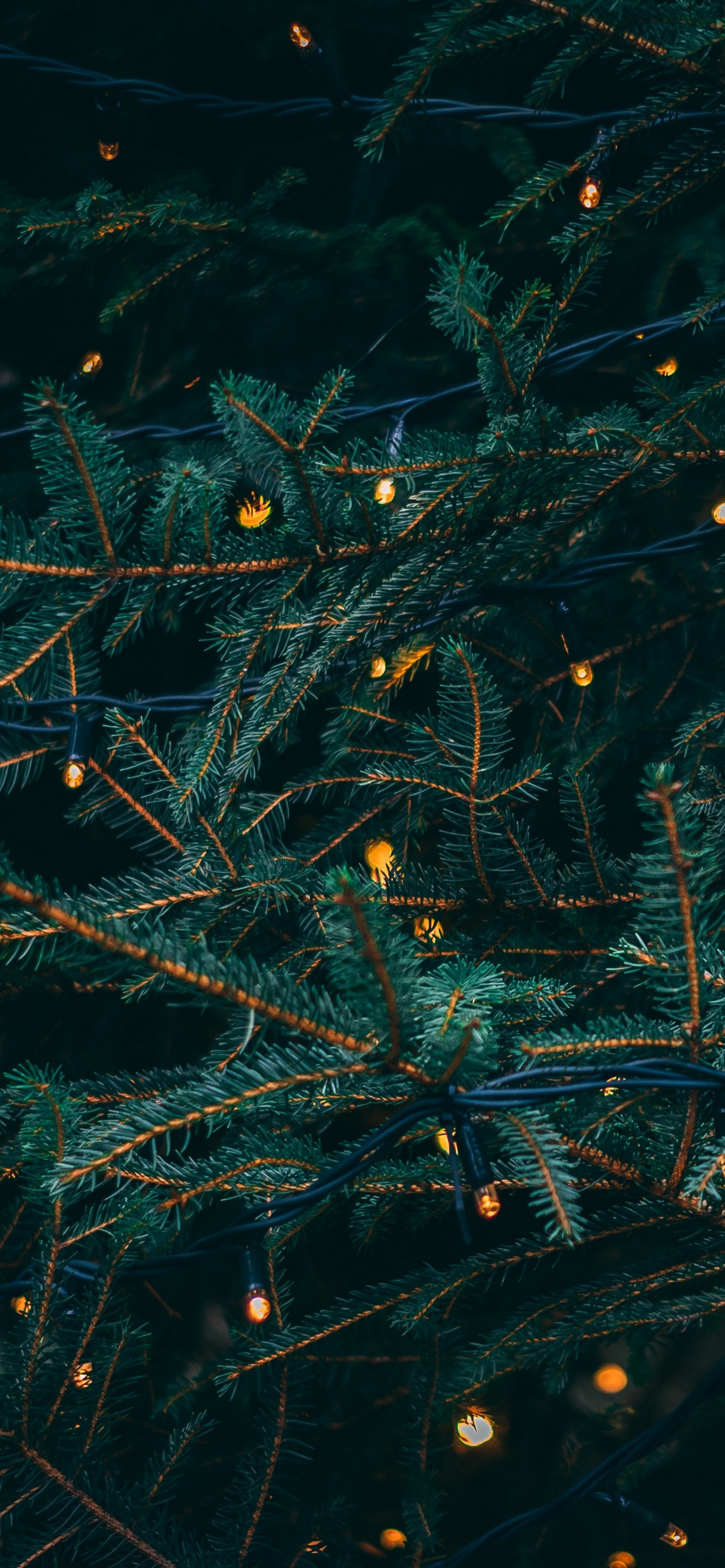 Weihnachten, Weihnachtsbeleuchtung, Baum, Branch, Fir. Wallpaper in 1242x2688 Resolution
