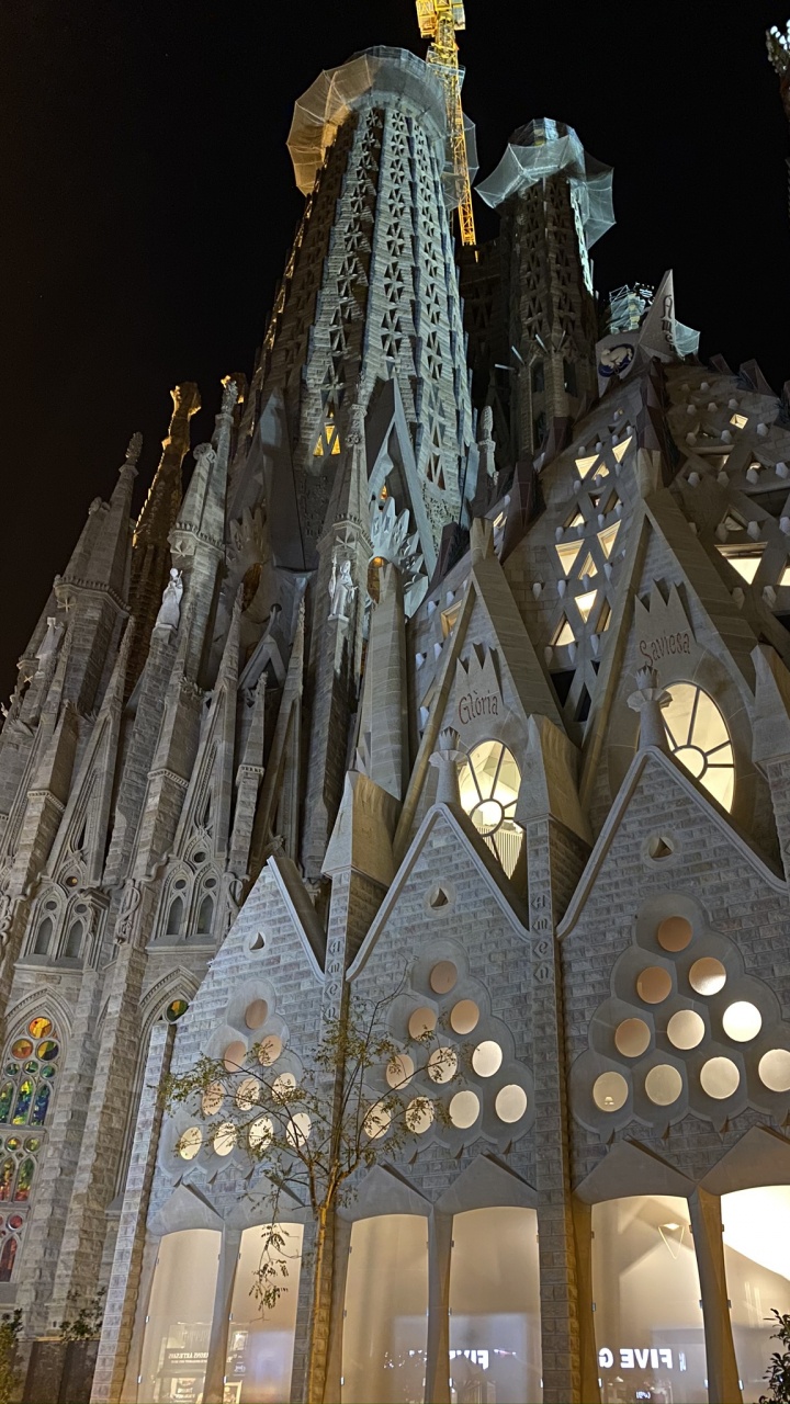 Hito, la Arquitectura Medieval, la Arquitectura Gótica, Spire, Catedral. Wallpaper in 720x1280 Resolution