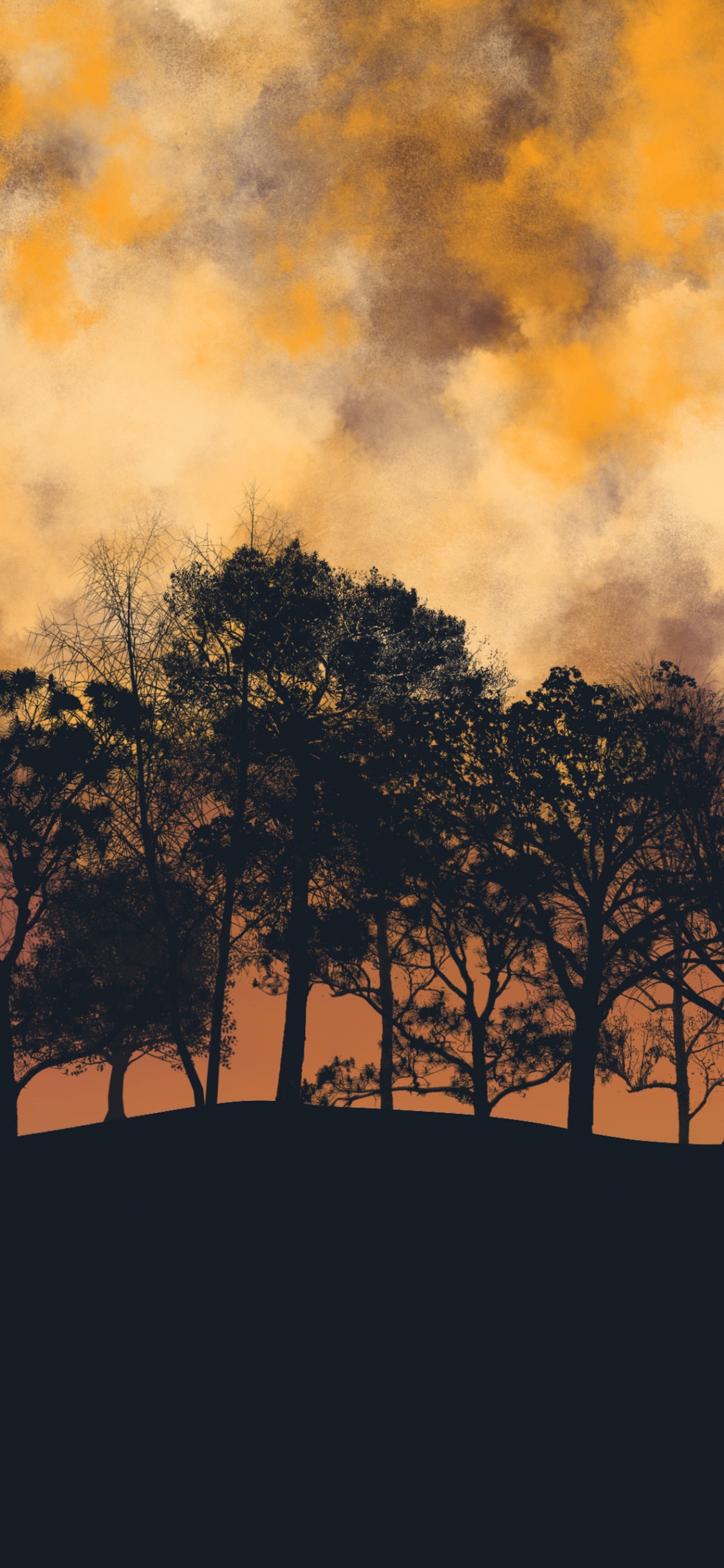 Nature, Orange, Brown, Soir. Wallpaper in 1125x2436 Resolution