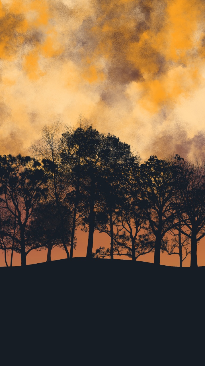 Tree, Nature, Orange, Brown, Dusk. Wallpaper in 720x1280 Resolution