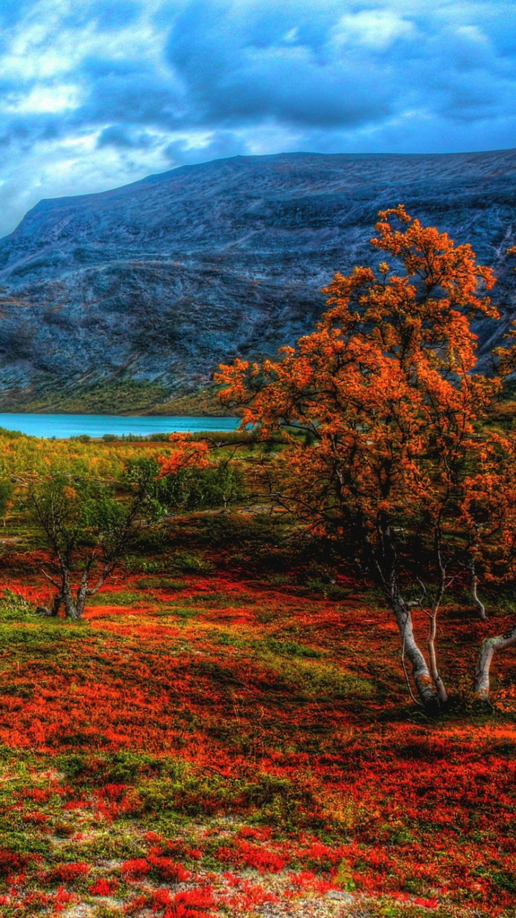 Campo de Hierba Verde Cerca Del Lago Bajo un Cielo Nublado Durante el Día. Wallpaper in 750x1334 Resolution