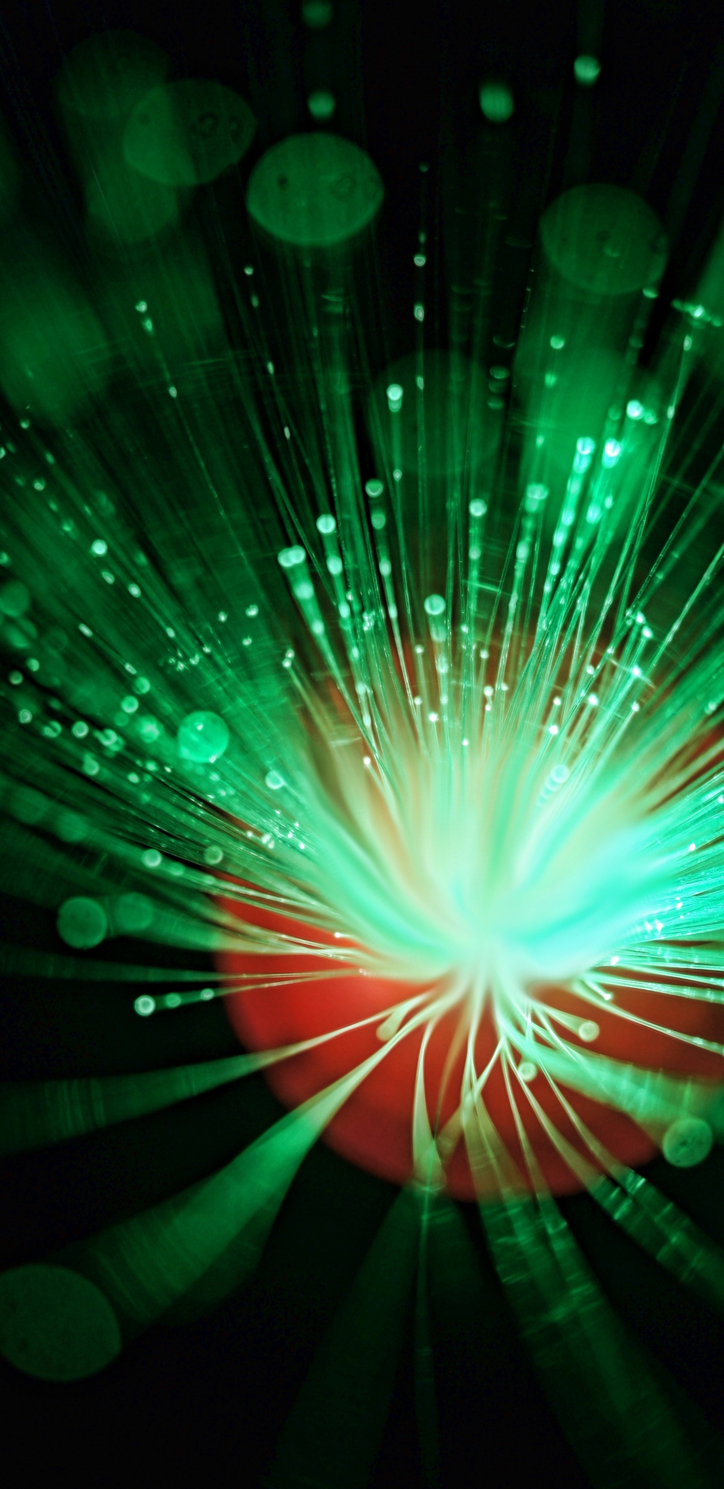 Red and Green Light Digital Wallpaper. Wallpaper in 1440x2960 Resolution