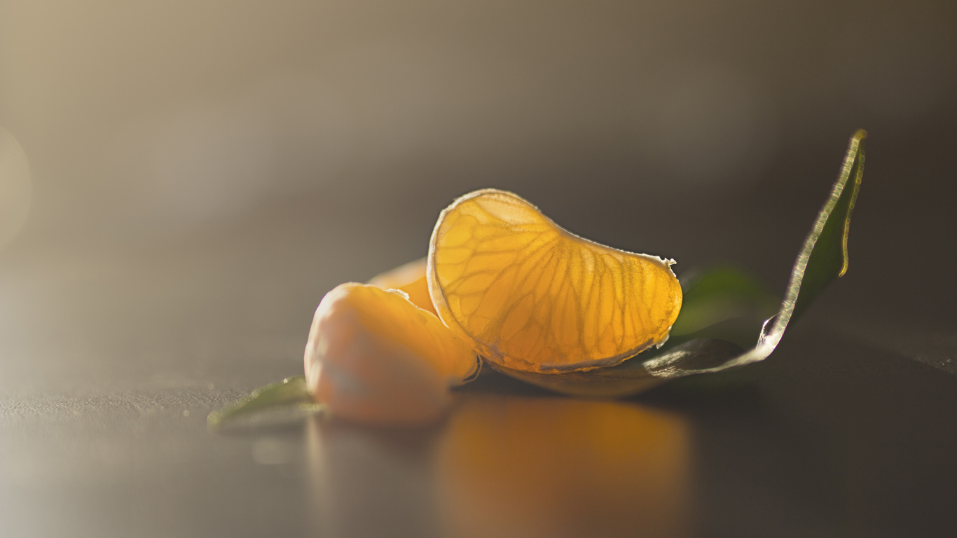 Liquid, Pétale, Pollinisateurs, Paysage Naturel, la Floraison de la Plante. Wallpaper in 1366x768 Resolution