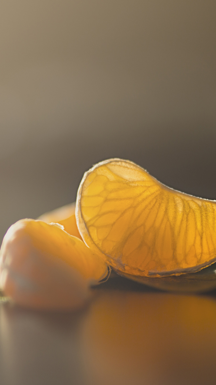 Plant, Liquid, Petal, Pollinator, Natural Landscape. Wallpaper in 750x1334 Resolution