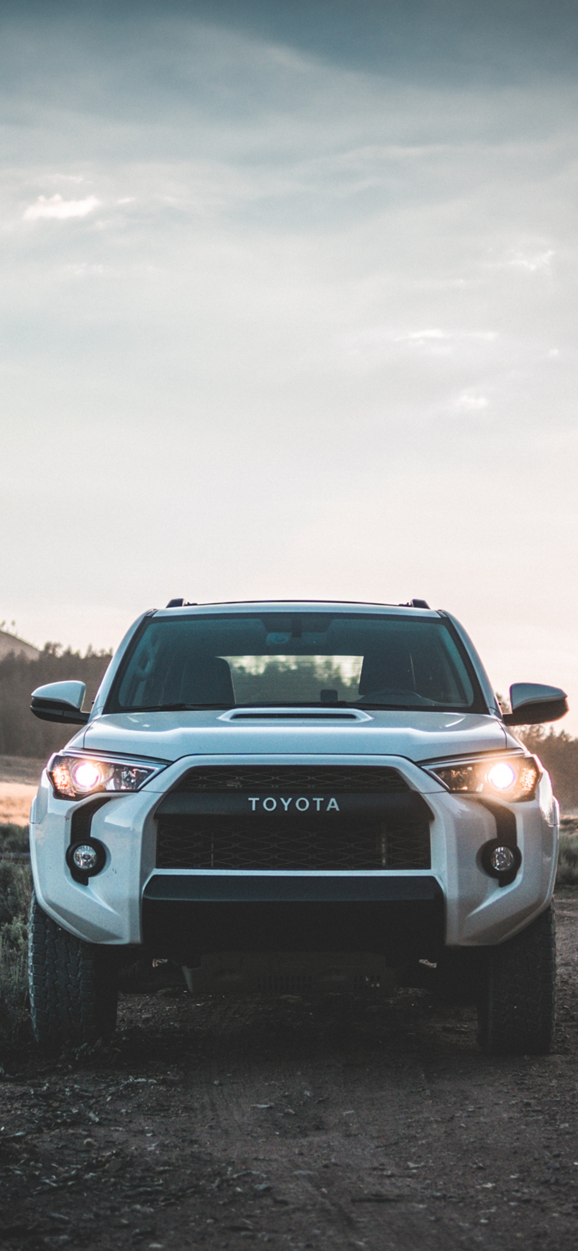 Black Chevrolet Camaro on Green Grass Field During Daytime. Wallpaper in 1125x2436 Resolution
