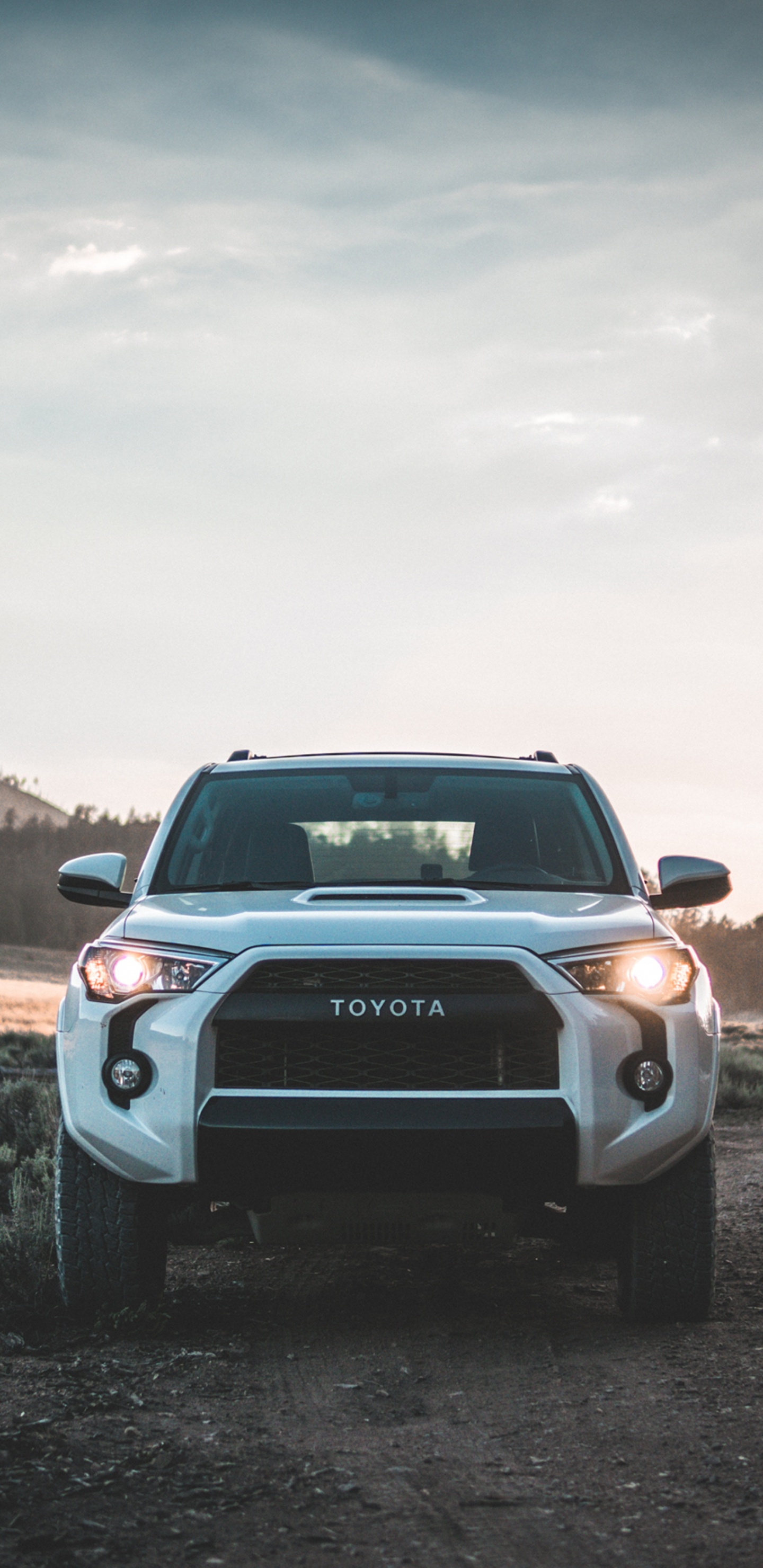 Black Chevrolet Camaro on Green Grass Field During Daytime. Wallpaper in 1440x2960 Resolution