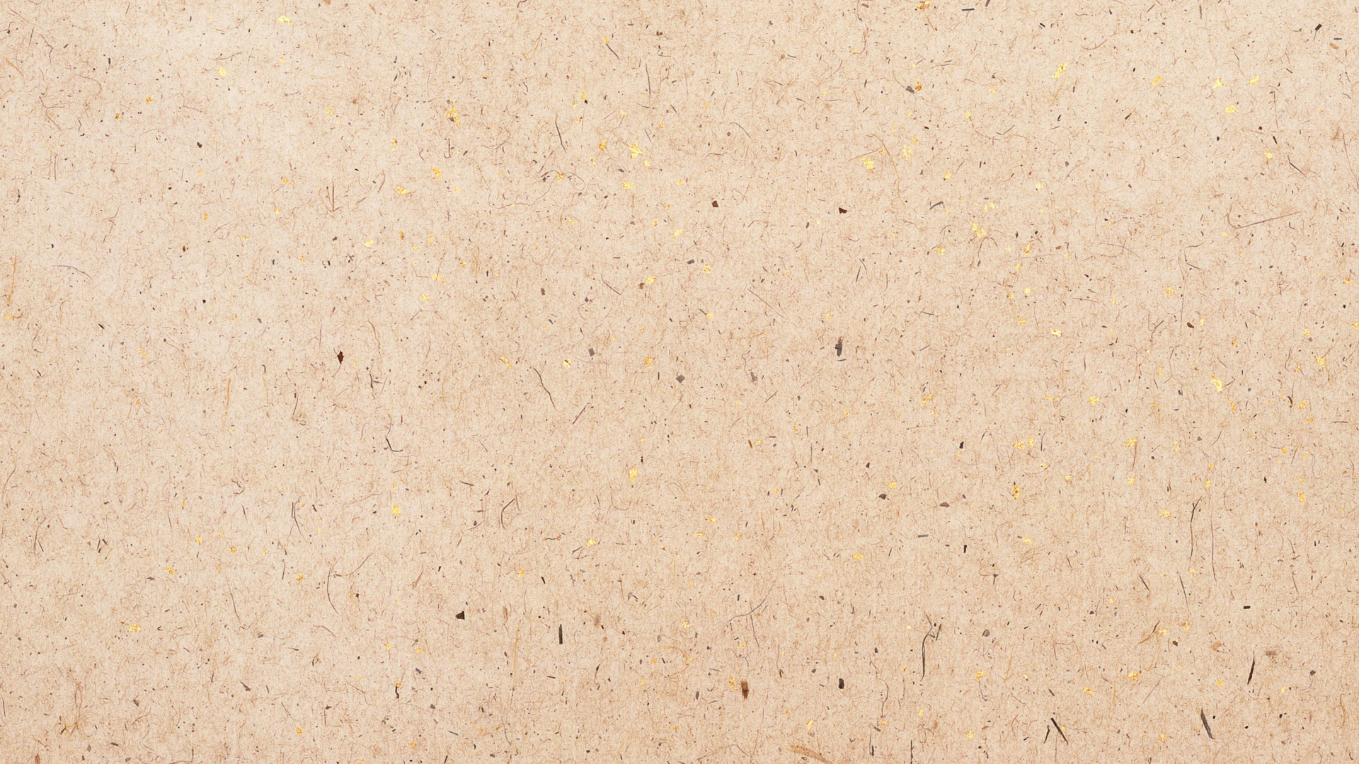 Person Mit Schwarzem Lederschuh. Wallpaper in 1920x1080 Resolution