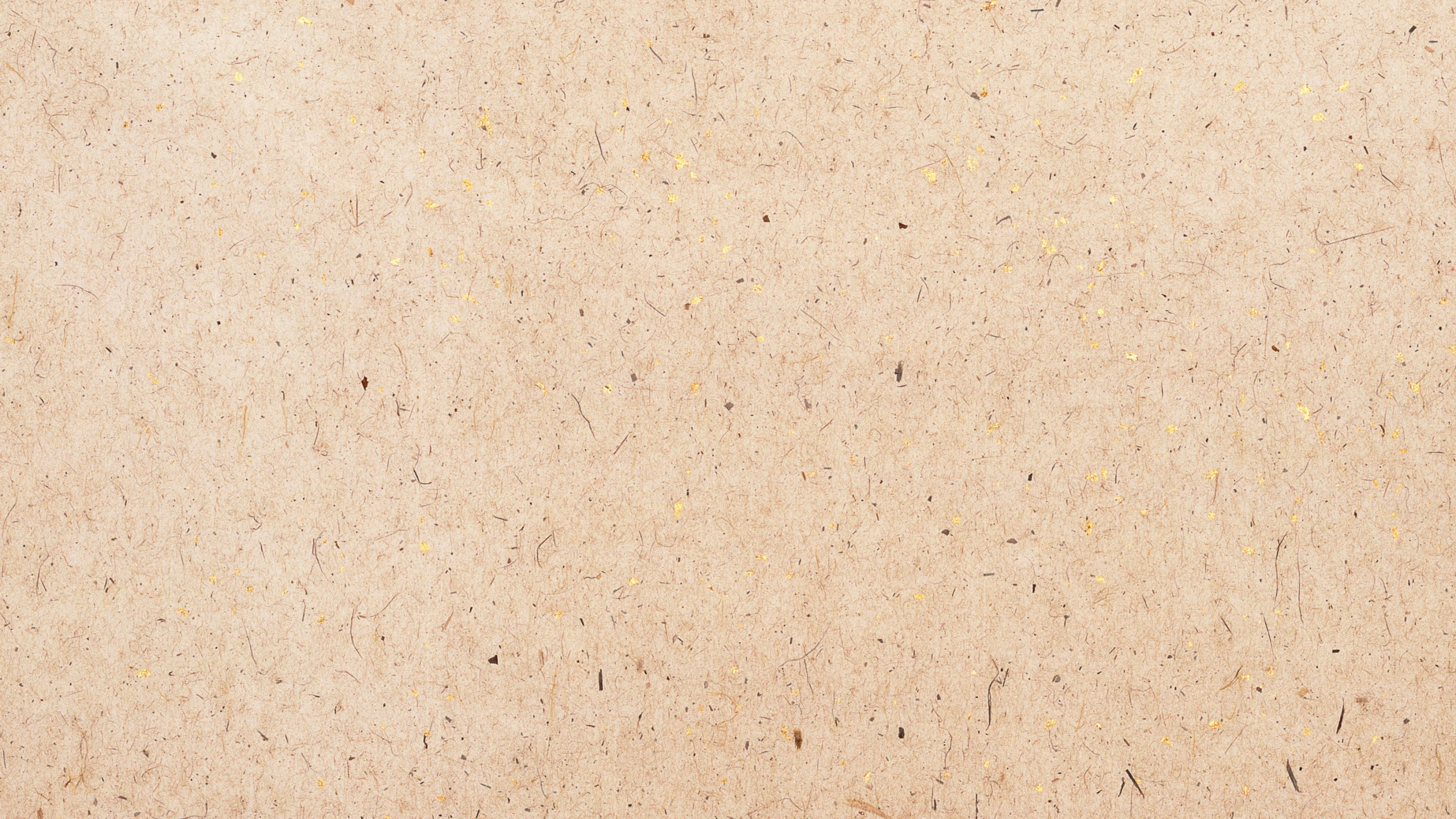 Person Mit Schwarzem Lederschuh. Wallpaper in 2560x1440 Resolution