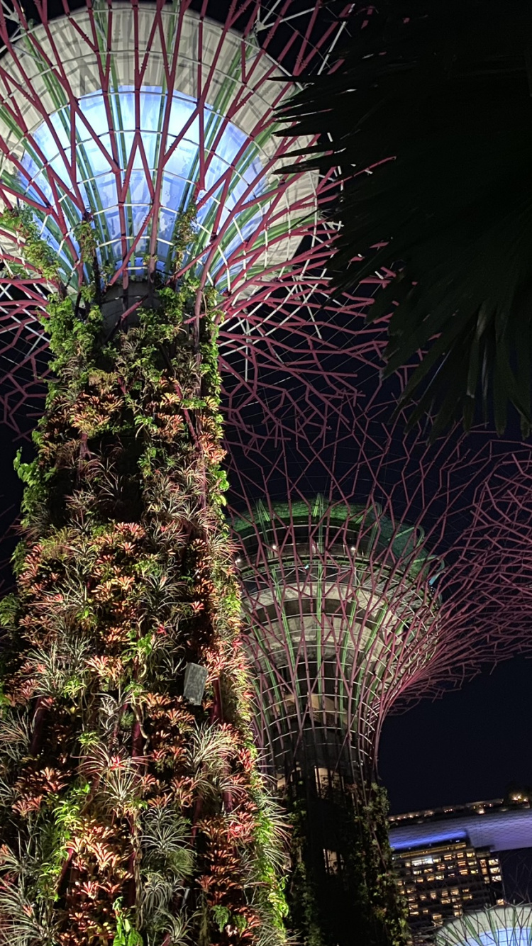 Singapour, Nuit, Palmier, Artifice, Attraction Touristique. Wallpaper in 750x1334 Resolution